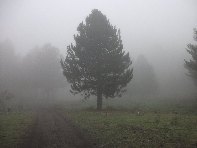 Monte Spagnolo
